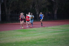Enlarge photo 1272