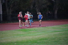 Enlarge photo 1274