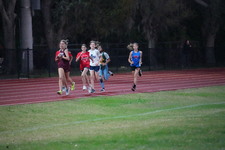 Enlarge photo 1281