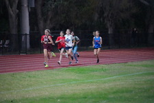 Enlarge photo 1282