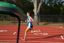 Enlarge photo 115