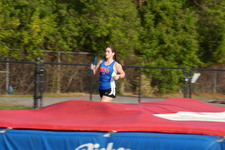 Enlarge photo 203