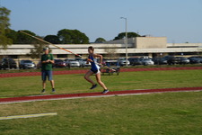 Enlarge photo 239
