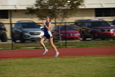 Enlarge photo 258