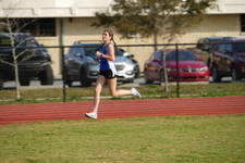 Enlarge photo 259