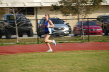 Enlarge photo 260