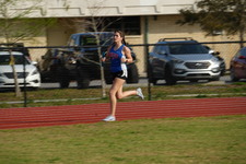 Enlarge photo 262