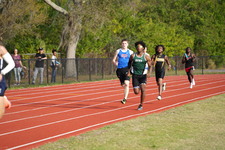 Enlarge photo 275