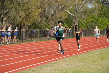 Enlarge photo 279