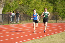Enlarge photo 355