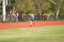 Enlarge photo 377