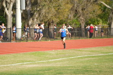 Enlarge photo 379