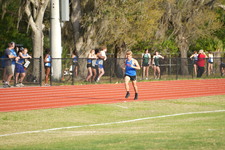 Enlarge photo 381