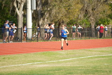 Enlarge photo 384