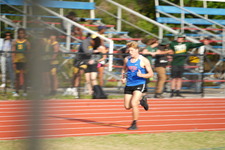 Enlarge photo 394