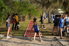 Enlarge photo 481