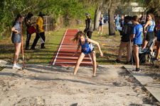 Enlarge photo 482