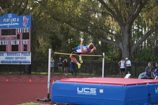 Enlarge photo 560