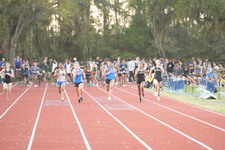 Enlarge photo 963