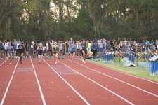 Enlarge photo 1001
