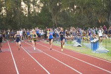 Enlarge photo 1022