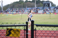 Enlarge photo 1320