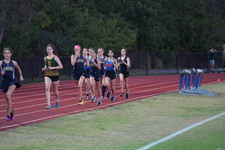 Enlarge photo 1372
