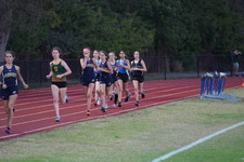 Enlarge photo 1373