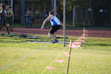 Enlarge photo 178