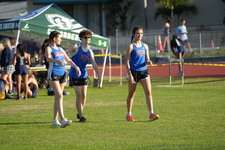 Enlarge photo 232
