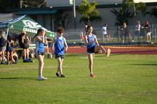 Enlarge photo 237