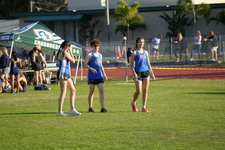 Enlarge photo 241