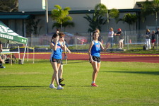 Enlarge photo 246