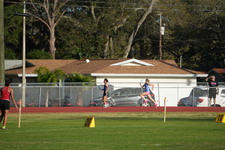Enlarge photo 257