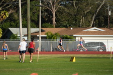 Enlarge photo 259