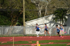 Enlarge photo 270