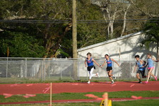 Enlarge photo 272