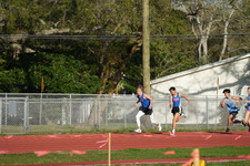 Enlarge photo 274