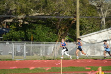 Enlarge photo 276