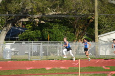 Enlarge photo 278