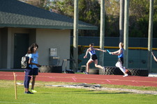 Enlarge photo 299