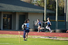 Enlarge photo 302