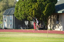 Enlarge photo 313