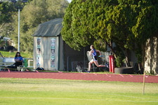 Enlarge photo 315