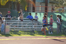 Enlarge photo 442