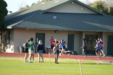 Enlarge photo 532