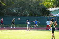 Enlarge photo 537