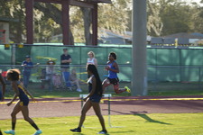 Enlarge photo 555