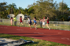 Enlarge photo 778