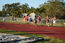 Enlarge photo 782